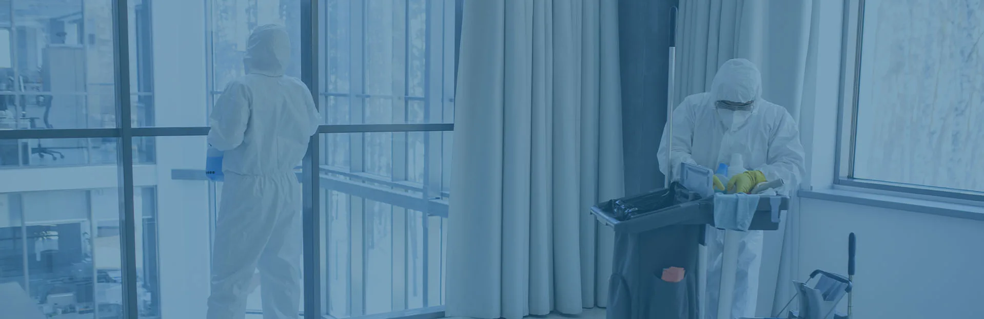 Limpieza profesional de edificios